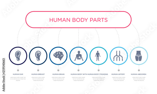 simple illustration set of 7 vector blue icons such as human abdomen, human artery, human body standing black, _icon4, brain, breast, ear. infographic design with 7 icons pack