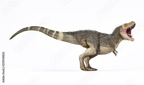 T-rex with feathers 3d rendering side view.