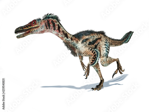 Velociraptor dinosaur with feathers 3d rendering.