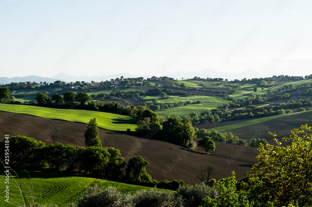 Vista nella valle marchigiana