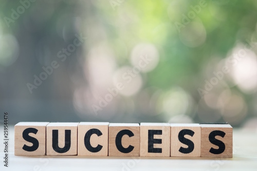 Success word from wooden blocks on desk. Business success