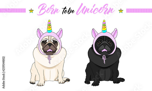 cute vector black and fawn pug puppy dogs sitting down, wearing pink bonnet with unicorn horn with rainbow colors