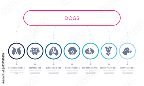 simple illustration set of 7 vector blue icons such as bergamasco dog, berger picard dog, bernese mountain dog, _icon4, bloodhound boerboel border collie infographic design with 7 icons pack