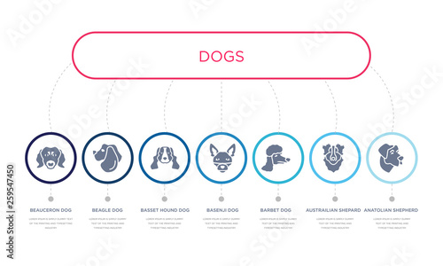simple illustration set of 7 vector blue icons such as anatolian shepherd dog dog, austrailian shepard dog, barbet _icon4, basset hound beagle beauceron infographic design with 7 icons pack photo