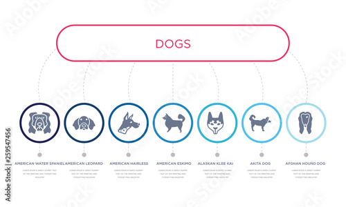 simple illustration set of 7 vector blue icons such as afghan hound dog, akita dog, alaskan klee kai dog, _icon4, american hairless terrier american leopard hound american water spaniel infographic