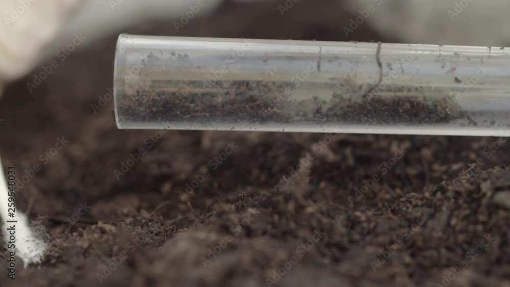Using a test tube to collect soil sample Using a test tube to collect soil sample