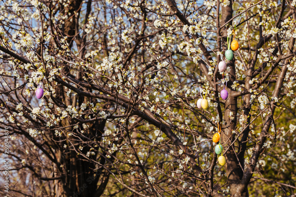 Colorful Easter eggs on a blooming flower tree. Colorful Easter eggs on a blooming flower tree.