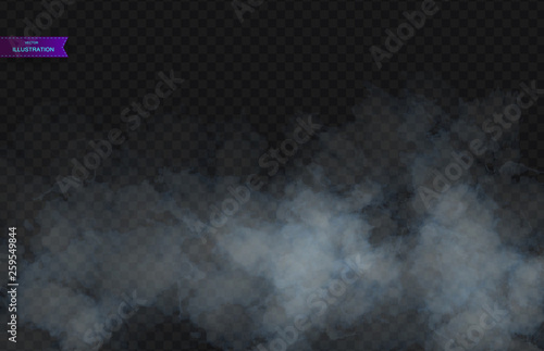 Fog or smoke isolated transparent special effect. White vector cloudiness, mist or smog background. Vector illustration