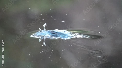 Brown trout comes up and takes a fly breaking the surface. Close up and slow motion.