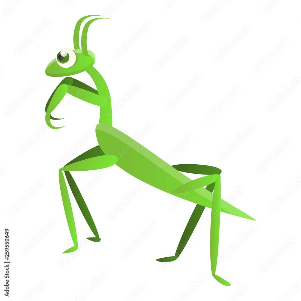 Mantis icon. Cartoon of mantis vector icon for web design isolated on white background Mantis icon. Cartoon of mantis vector icon for web design isolated on white background