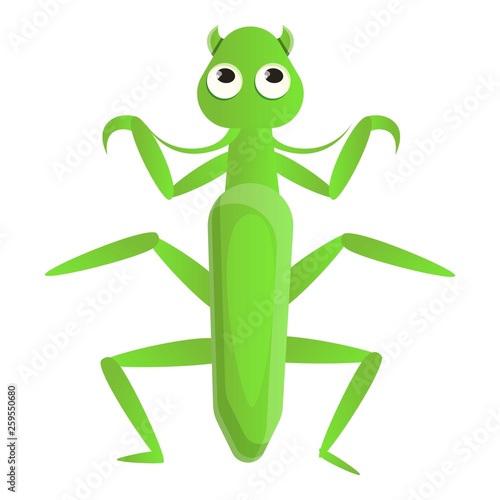Female mantis icon. Cartoon of female mantis vector icon for web design isolated on white background