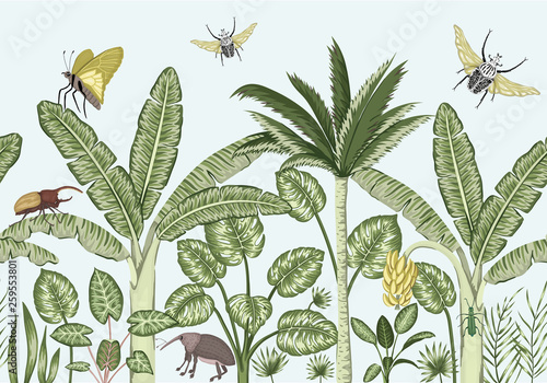Vector seamless border background with tropical plants and insects. Vintage horizontal seamless  backdrop. Exotic jungle wallpaper.