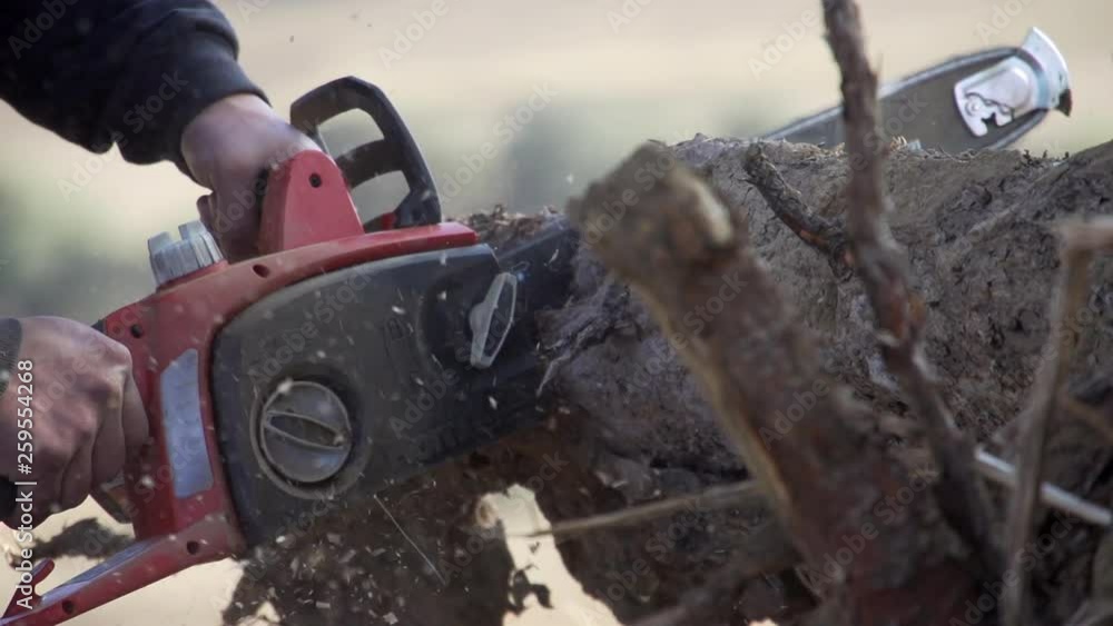 Chainsaw sawing wooden log in slow-motion. Chainsaw sawing wooden log in slow-motion.