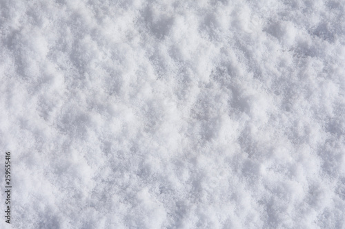 Texture photo of white snow. Snow background image.