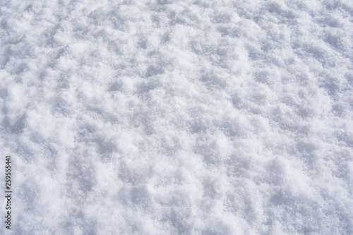 Texture photo of white snow. Snow background image.