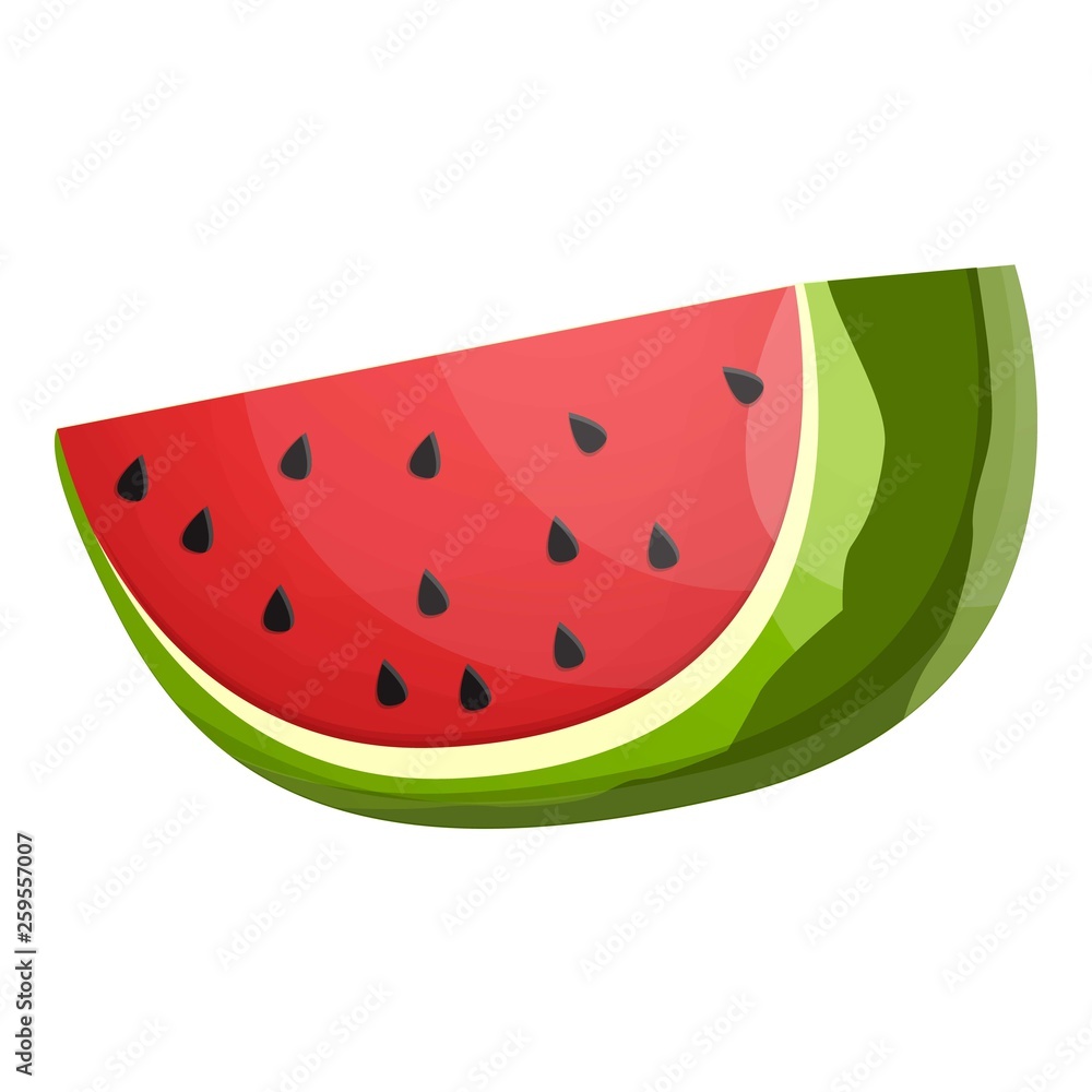 Big slice watermelon icon. Cartoon of big slice watermelon vector icon for web design isolated on white background Big slice watermelon icon. Cartoon of big slice watermelon vector icon for web design isolated on white background