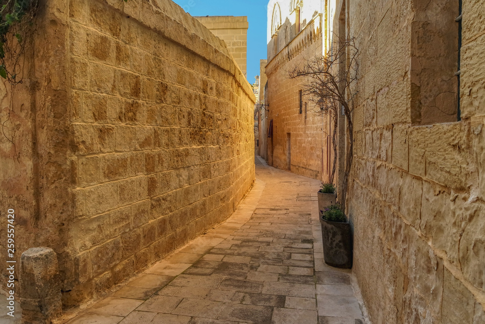 Narrow medieval stone paved street in Mdina