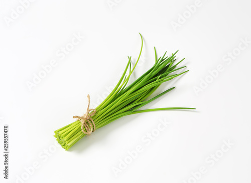 Bunch of fresh chives photo