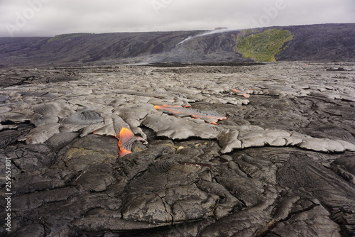 Lava field with new hot flowing lava in Big Island in Hawaii photo