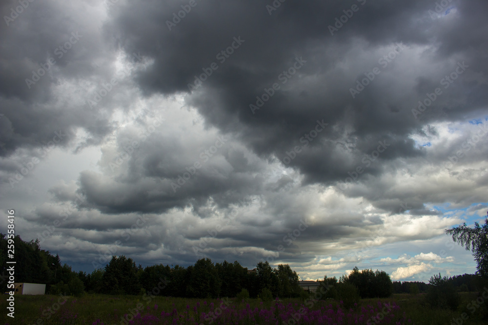 Clouds in the sky. White clouds. Beautiful background. Air. A natural phenomenon. Meteo conditions. Weather forecast. Clouds in the sky. White clouds. Beautiful background. Air. A natural phenomenon. Meteo conditions. Weather forecast.