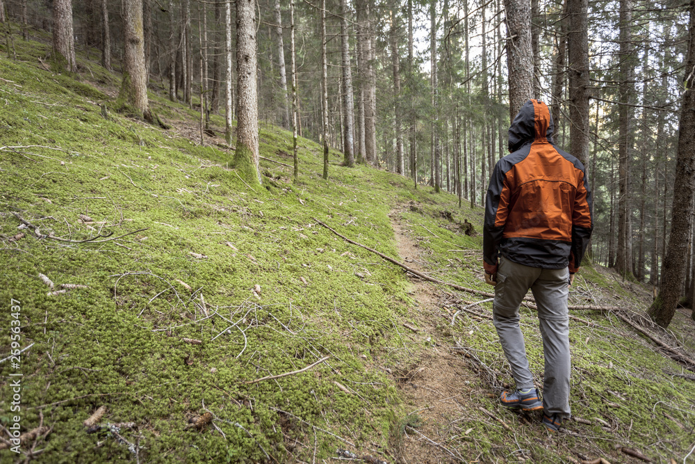 A trekker walking solo among the forest in a cloudy day A trekker walking solo among the forest in a cloudy day