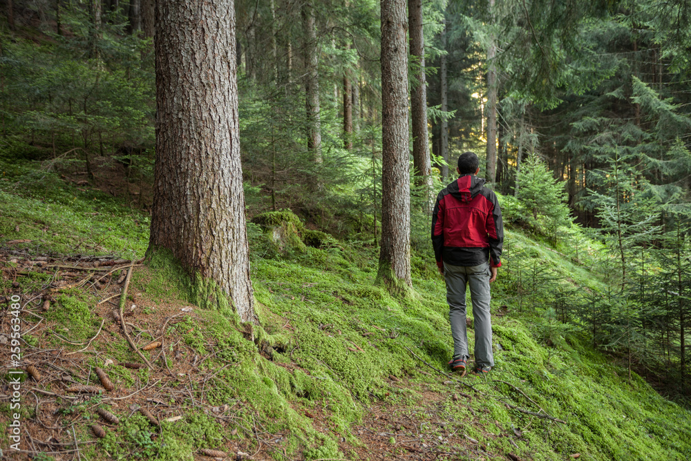 A trekker walking solo  among the forest in a cloudy day