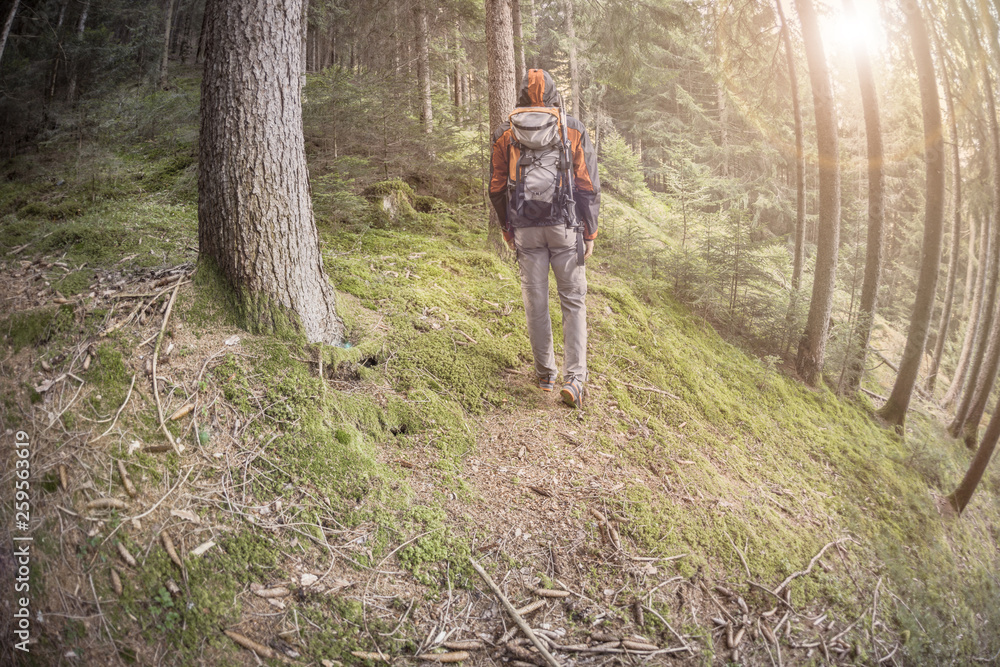 A trekker walking solo among the forest in a cloudy day A trekker walking solo among the forest in a cloudy day