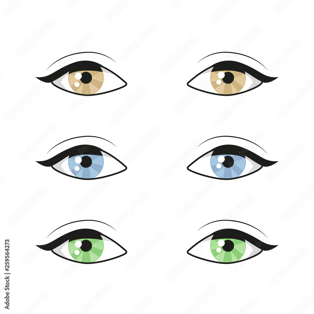 Blue brown green Eyes on white background. Woman eyes. The eyes logo. Human set eyes close up vector illustration