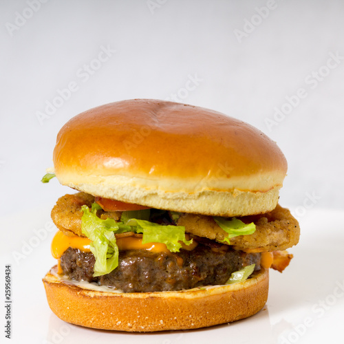 HAMBURGUER ARTEZANAL