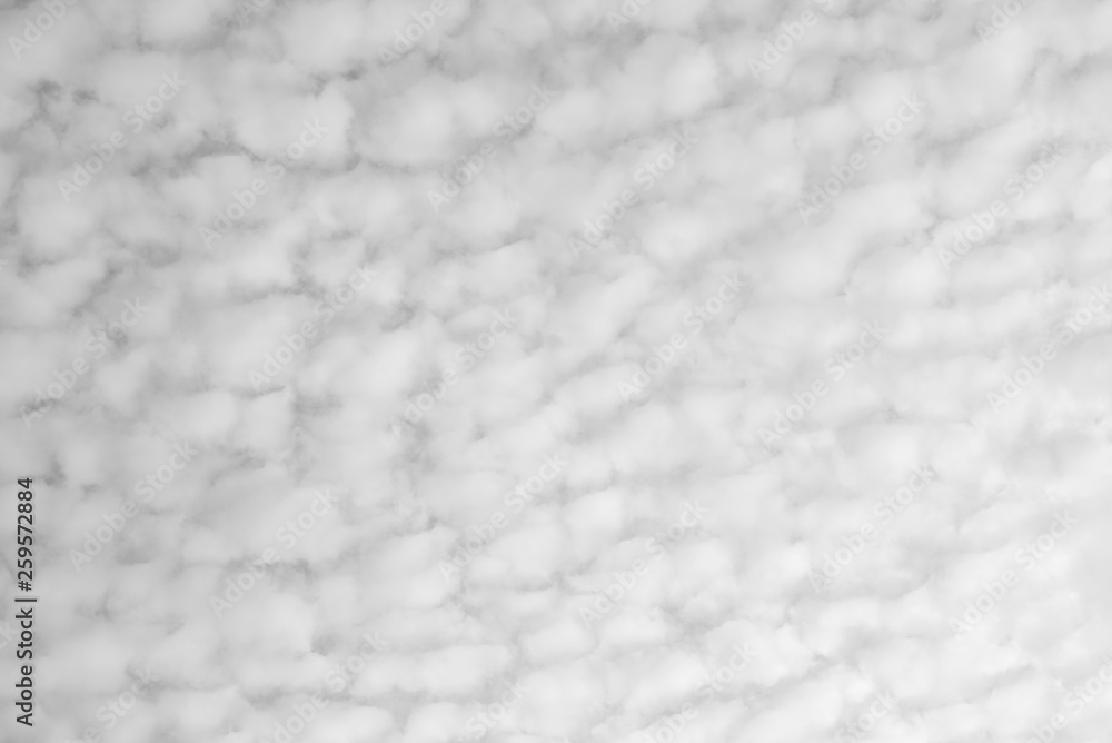 White clouds texture background