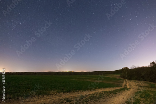 Country road in the green wheat field at dark starry night