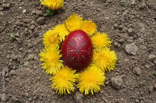 Burying the Old Easter egg in the first furrow of the earth. Old Slavic pagan fertility ceremony