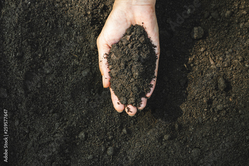 Closeup hand of person holding abundance soil for agriculture or planting peach.