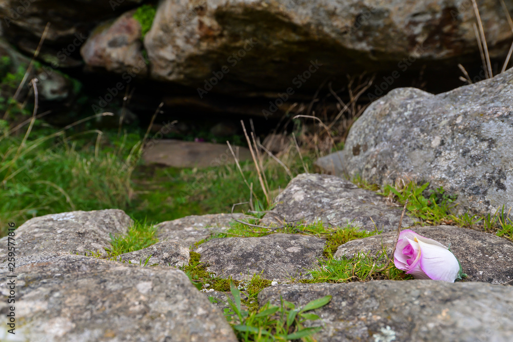 Fototapeta premium The Saints Bed in the hermitage