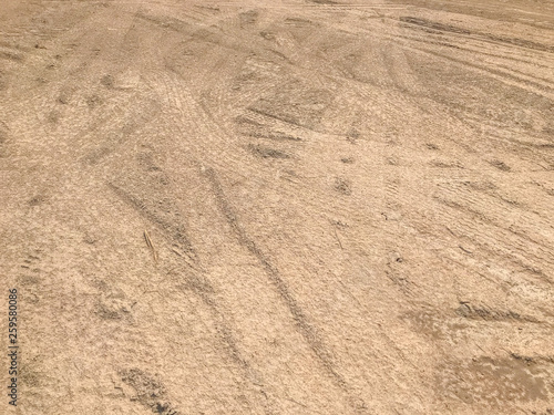 Empty dry crack soil background texture