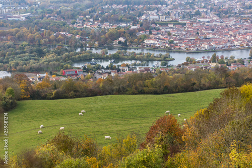 Panoramic view of the Pont-a-Mousson city with cows in the foreground and the marina on the background. Autumn, France.