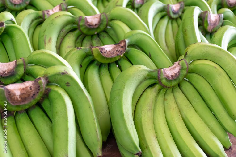 Ripe green banana is  sold in the fruit  market.