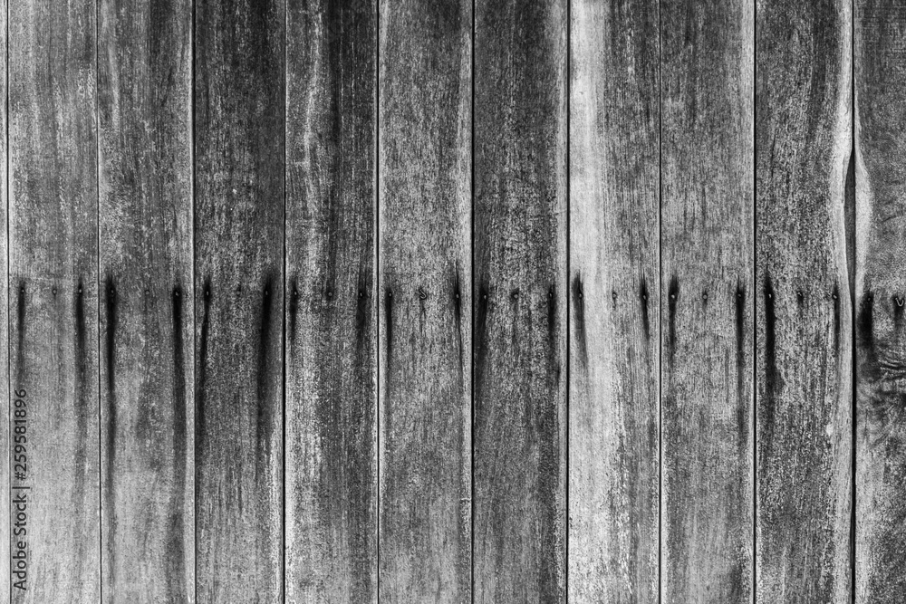 Fototapeta premium old wood wall background