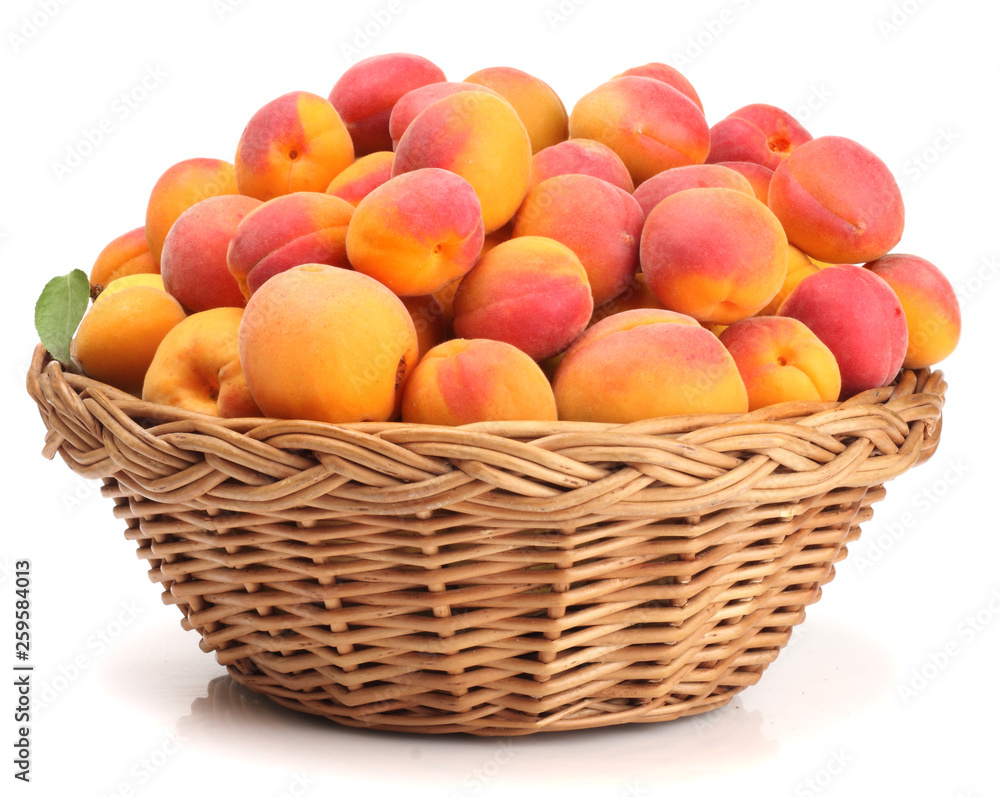 Apricots in a basket isolated on white Apricots in a basket isolated on white