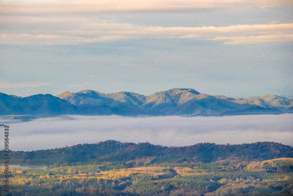Sunrise at Phu Thok, view misty morning  around with mist and cloudy sky,  beautiful mountain. Khan District, Loei, Thailand