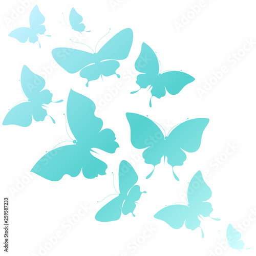 beautiful blue butterflies, isolated on a white