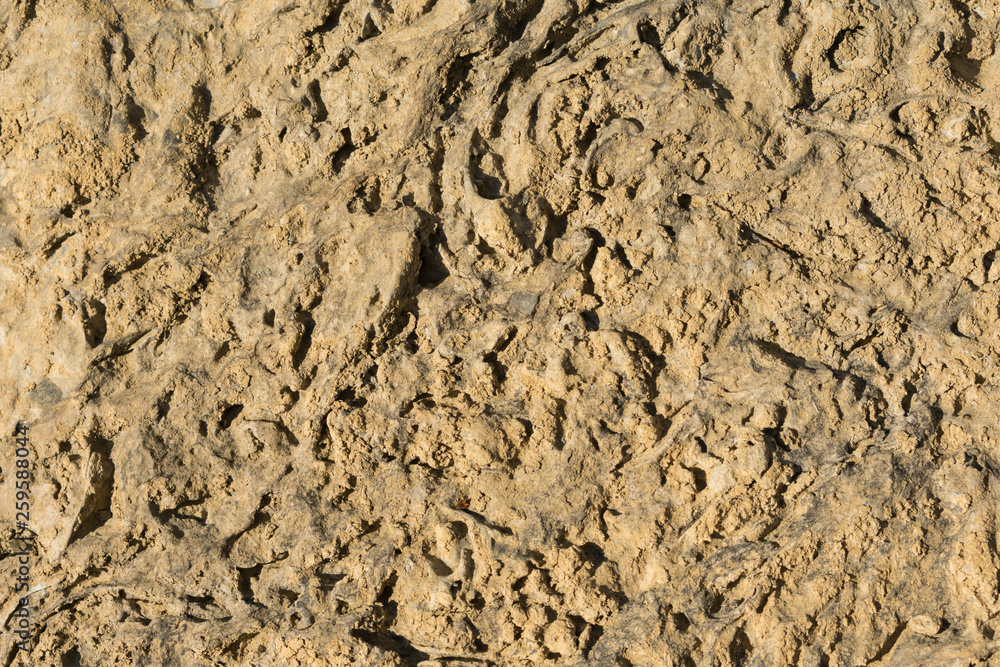 light brown rock, texture, background light brown rock, texture, background