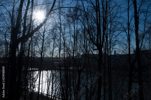 Moscow, nature, Gorky Park