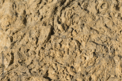 light brown rock, texture, background