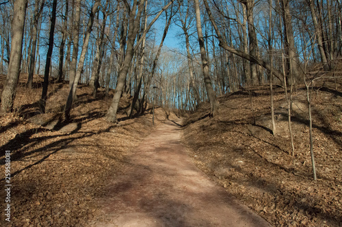 Moscow, nature, Gorky Park