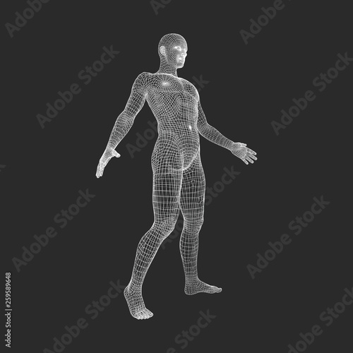 Man Stands on his Feet.3D Model of Man. Geometric Design. 3d Polygonal Covering Skin. Human Body Wire Model. Vector Illustration.