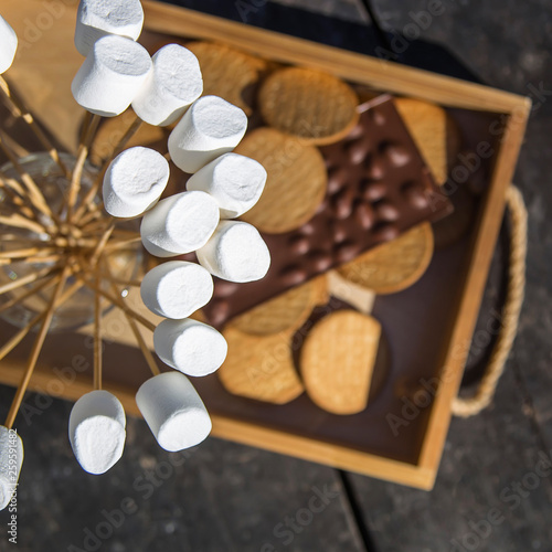 Dessert with marshmallows, chocolate and crackers after a barbecue in the park