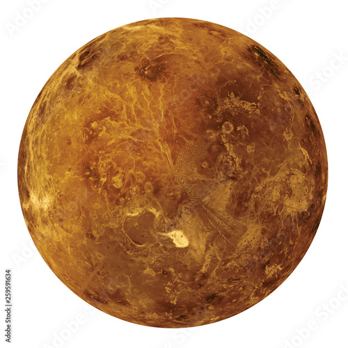 Fototapeta Full disk of Venus globe planet from space isolated on white background