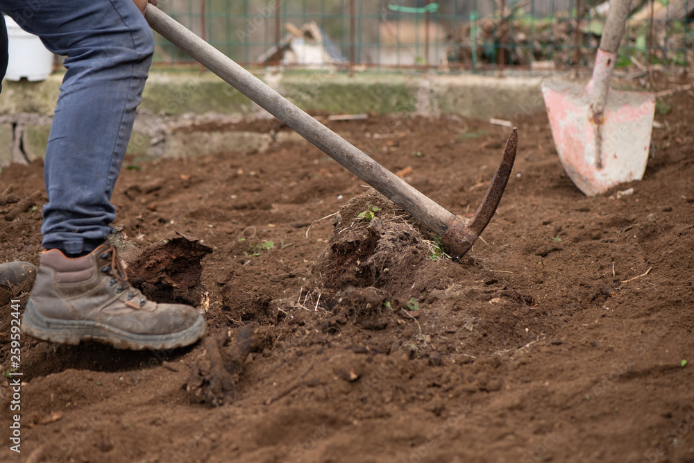 Preparing the soil for the vegetable garden Preparing the soil for the vegetable garden