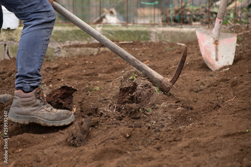 Preparing the soil for the vegetable garden